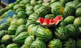 一个免费吃瓜网站是什么,揭秘网络世界的免费娱乐盛宴