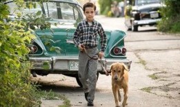 电影一条狗的使命在线观看